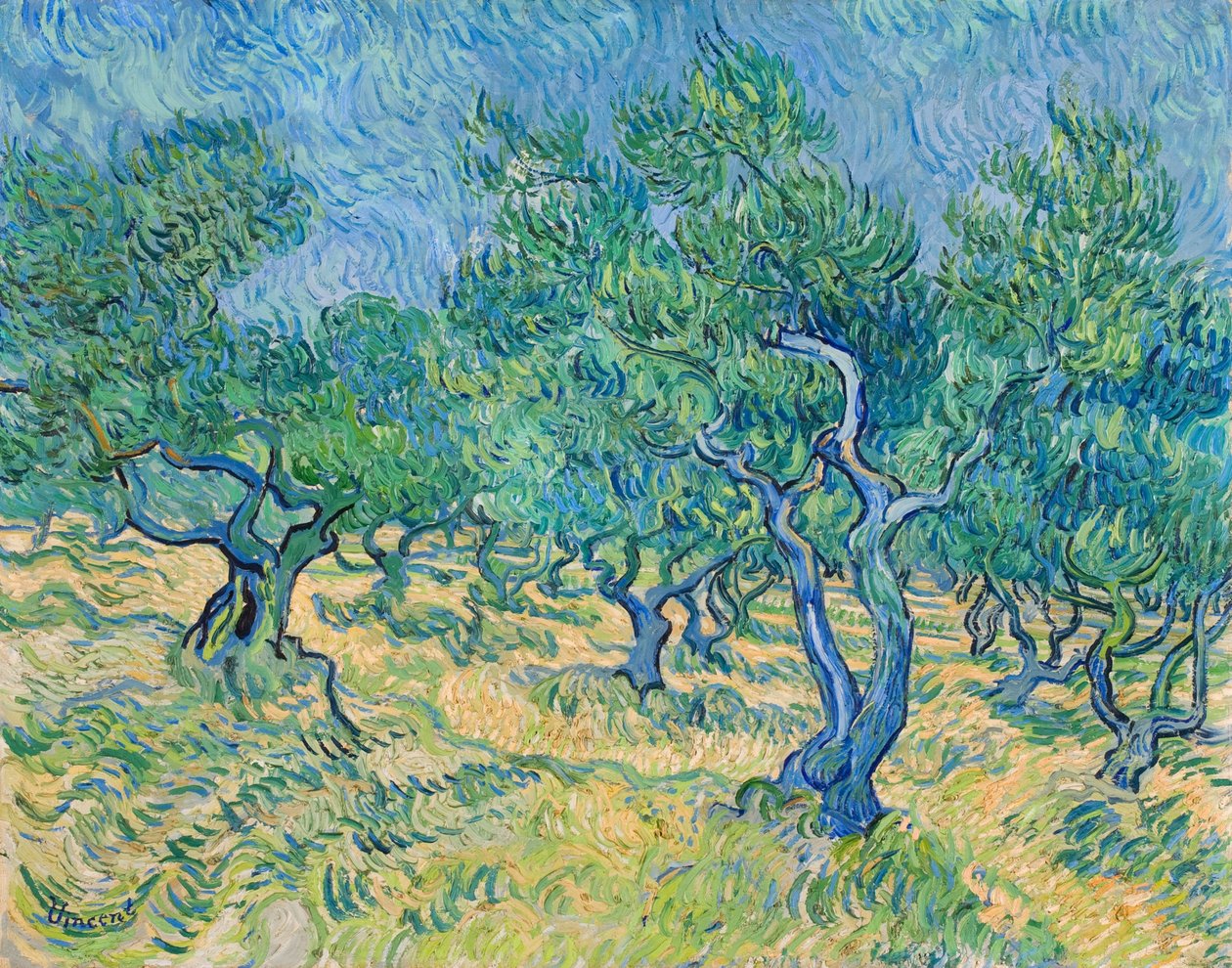 Olivar, 1889 de Vincent van Gogh