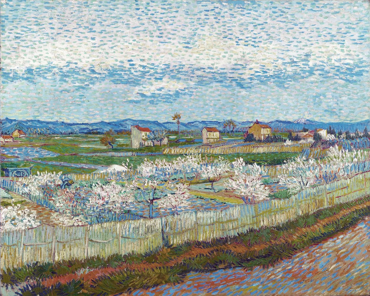 Melocotoneros en flor, 1889 de Vincent van Gogh