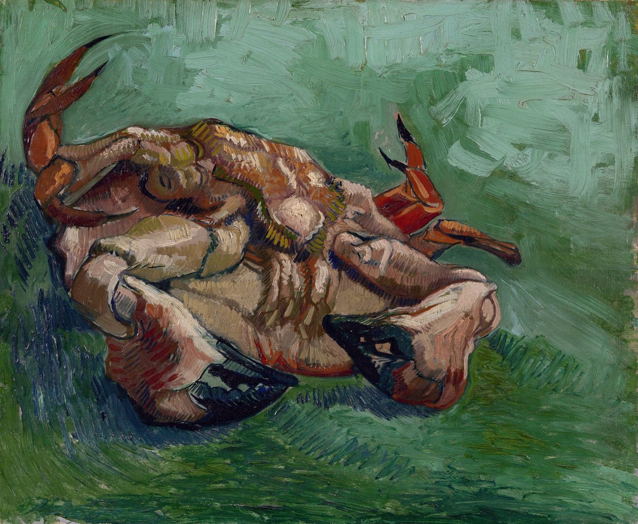 Un cangrejo de espaldas de Vincent van Gogh
