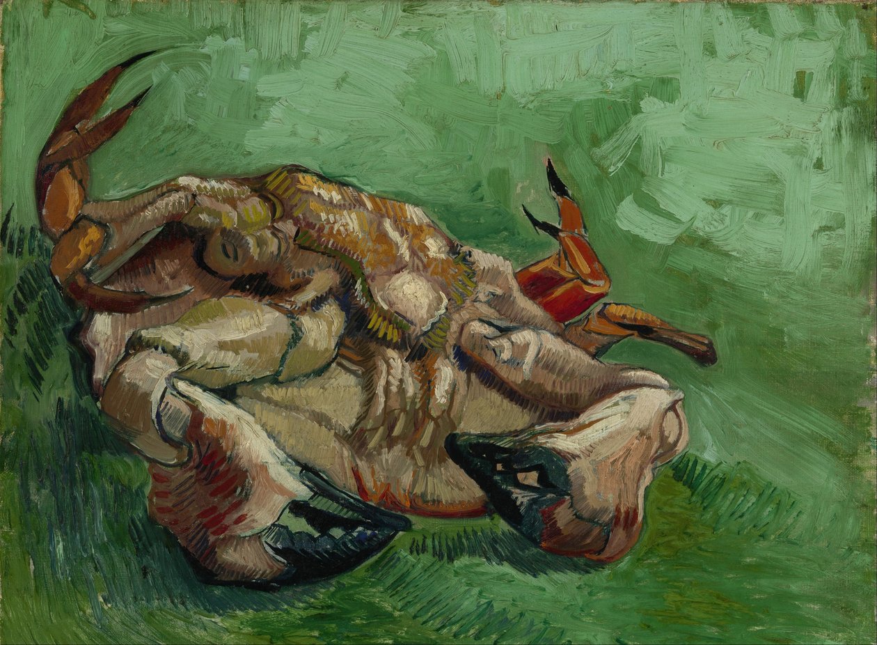 Un cangrejo sobre su espalda de Vincent van Gogh