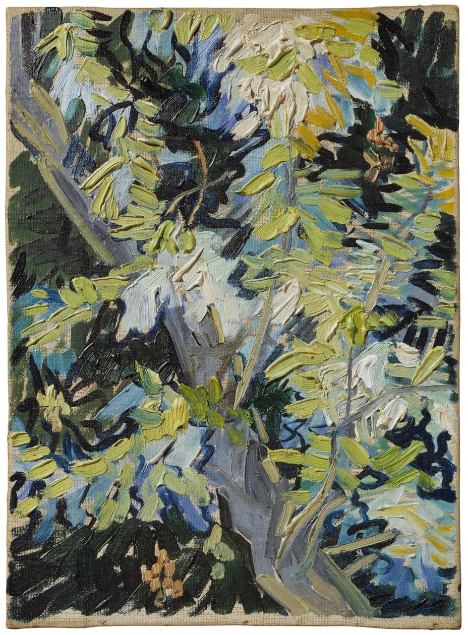 Acacia en flor de Vincent van Gogh