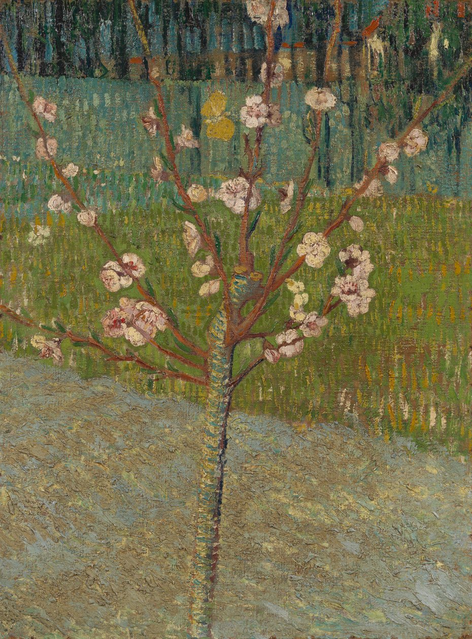 Almendro en flor de Vincent van Gogh