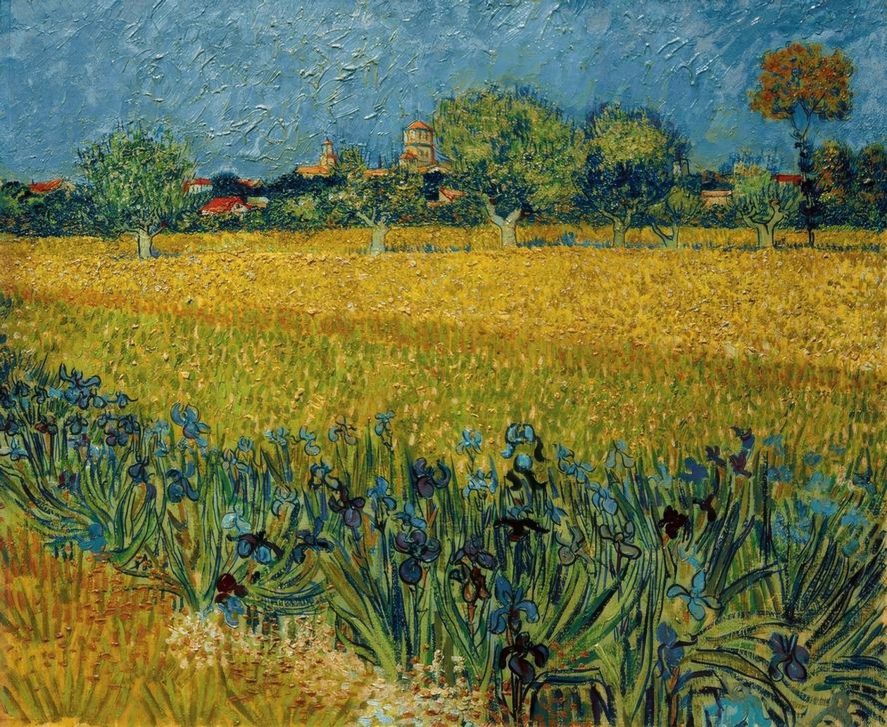 Vista de Arles con iris en primer plano de Vincent van Gogh
