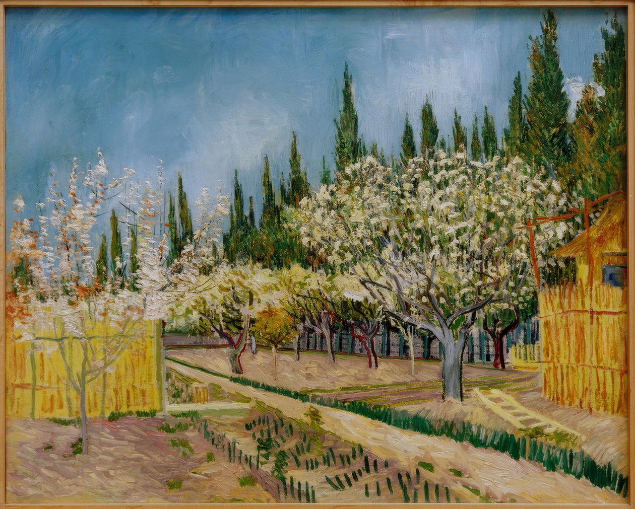 Huerto en flor, rodeado de cipreses de Vincent van Gogh