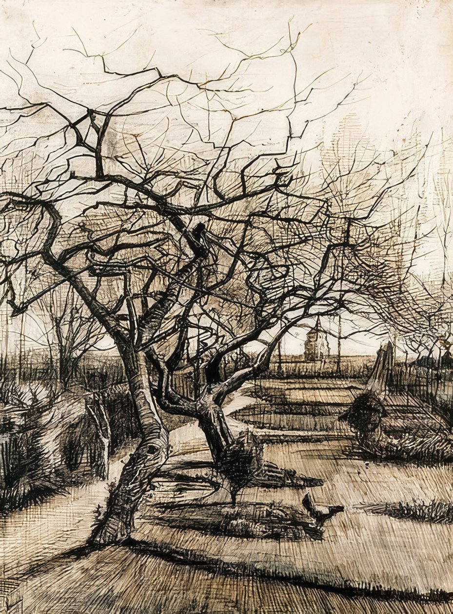 El jardín de la casa parroquial en Nuenen. 1884 de Vincent van Gogh