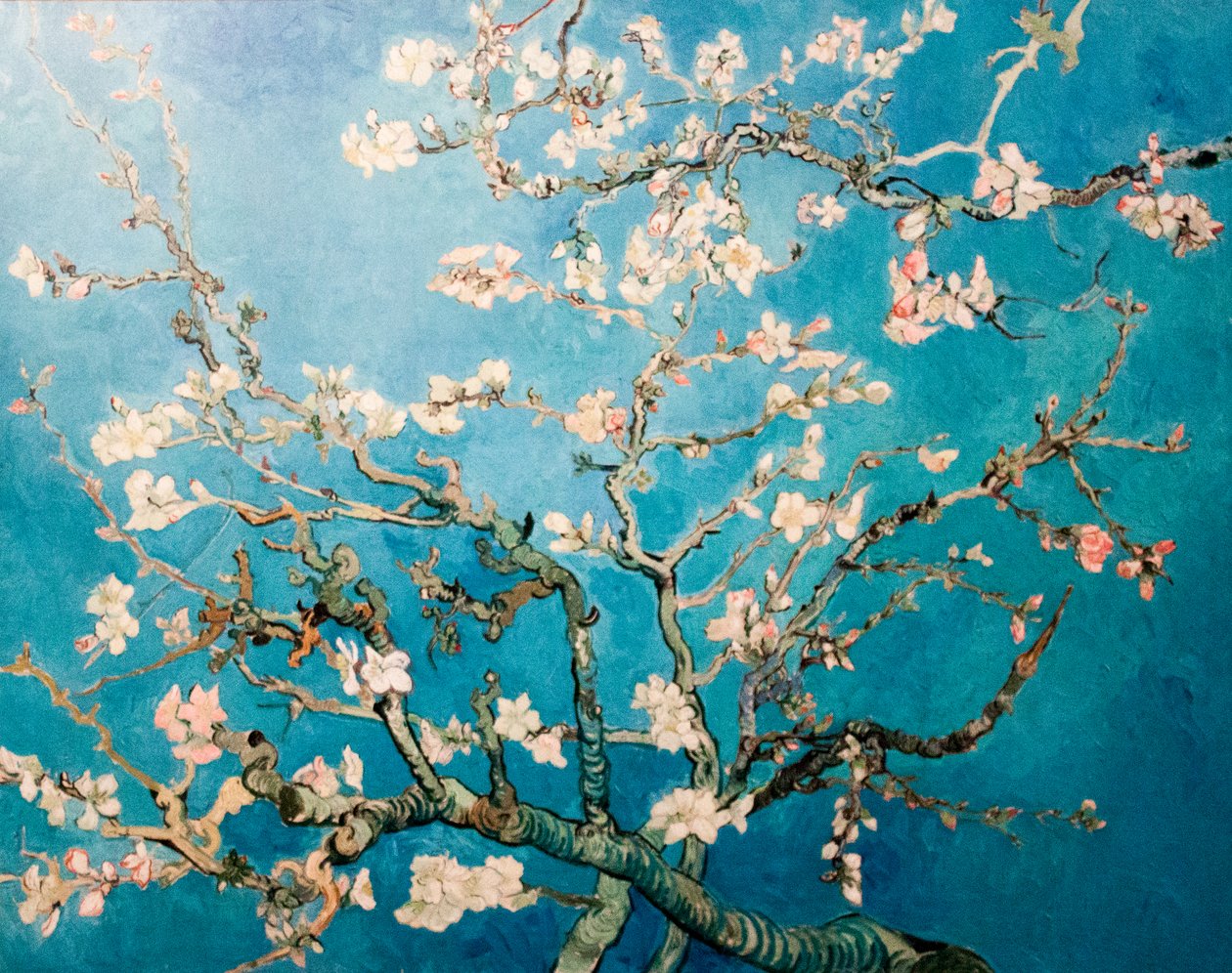 Holandés: Amandelbloesem Almendro en flor Árbol en rama de Vincent van Gogh