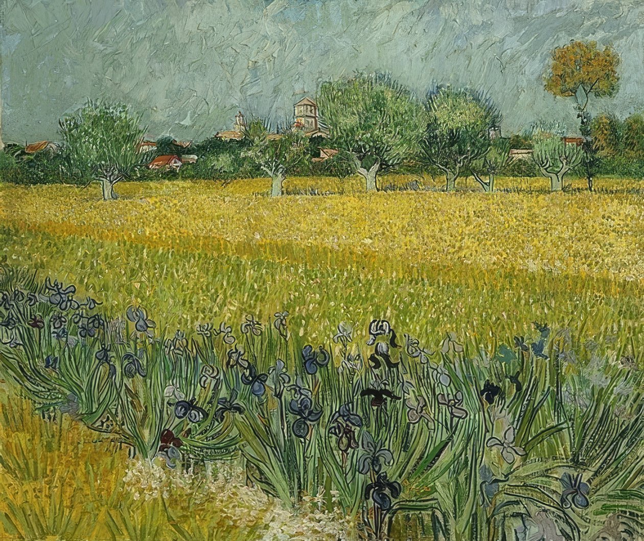 Campo con lirios cerca de Arles. Mayo 1888 de Vincent van Gogh