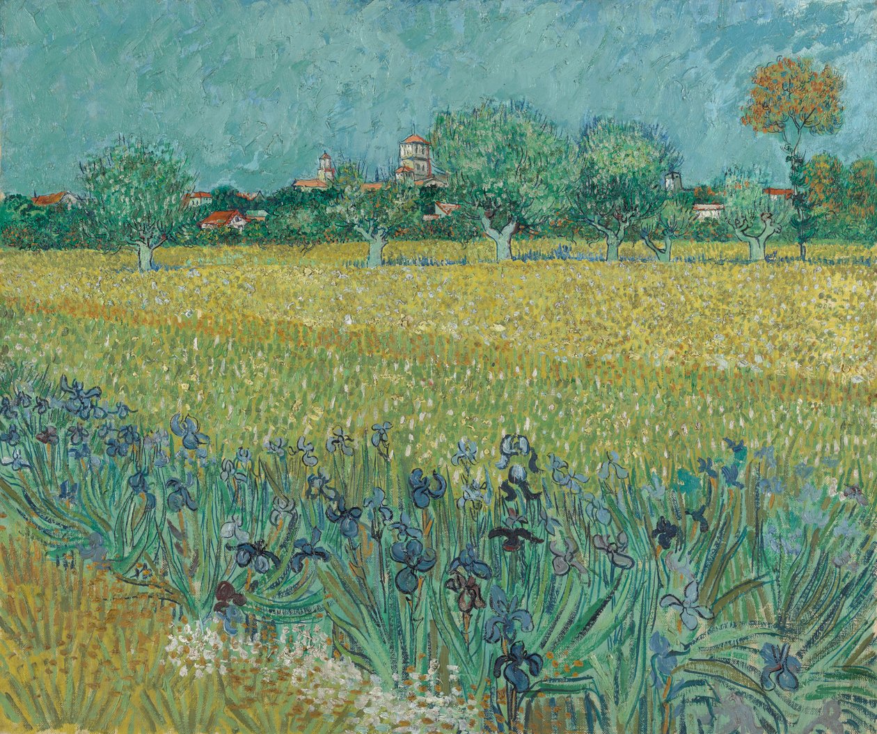 Campo con flores cerca de Arles de Vincent van Gogh