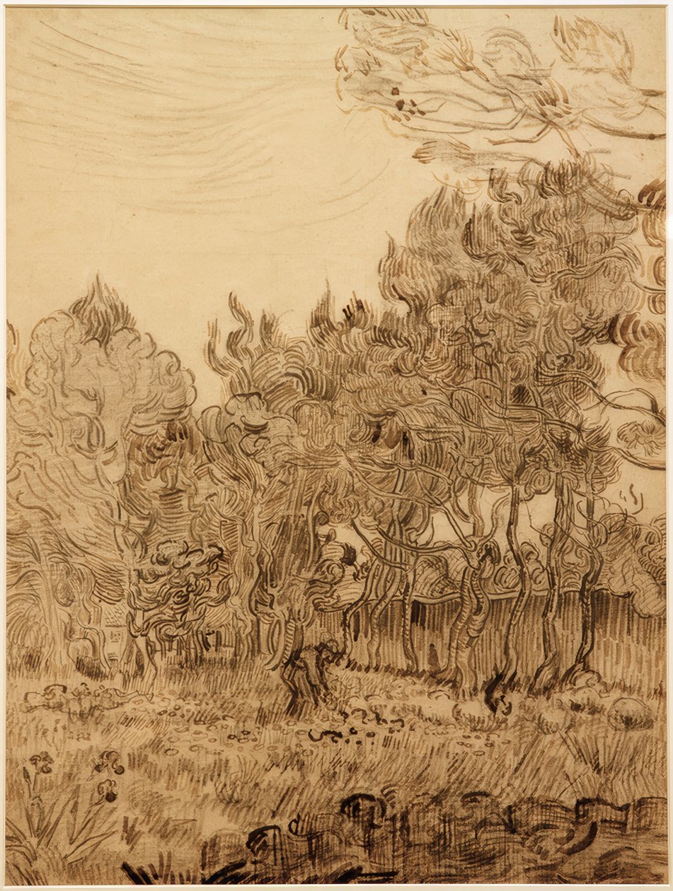 En el parque del sanatorio de Vincent van Gogh