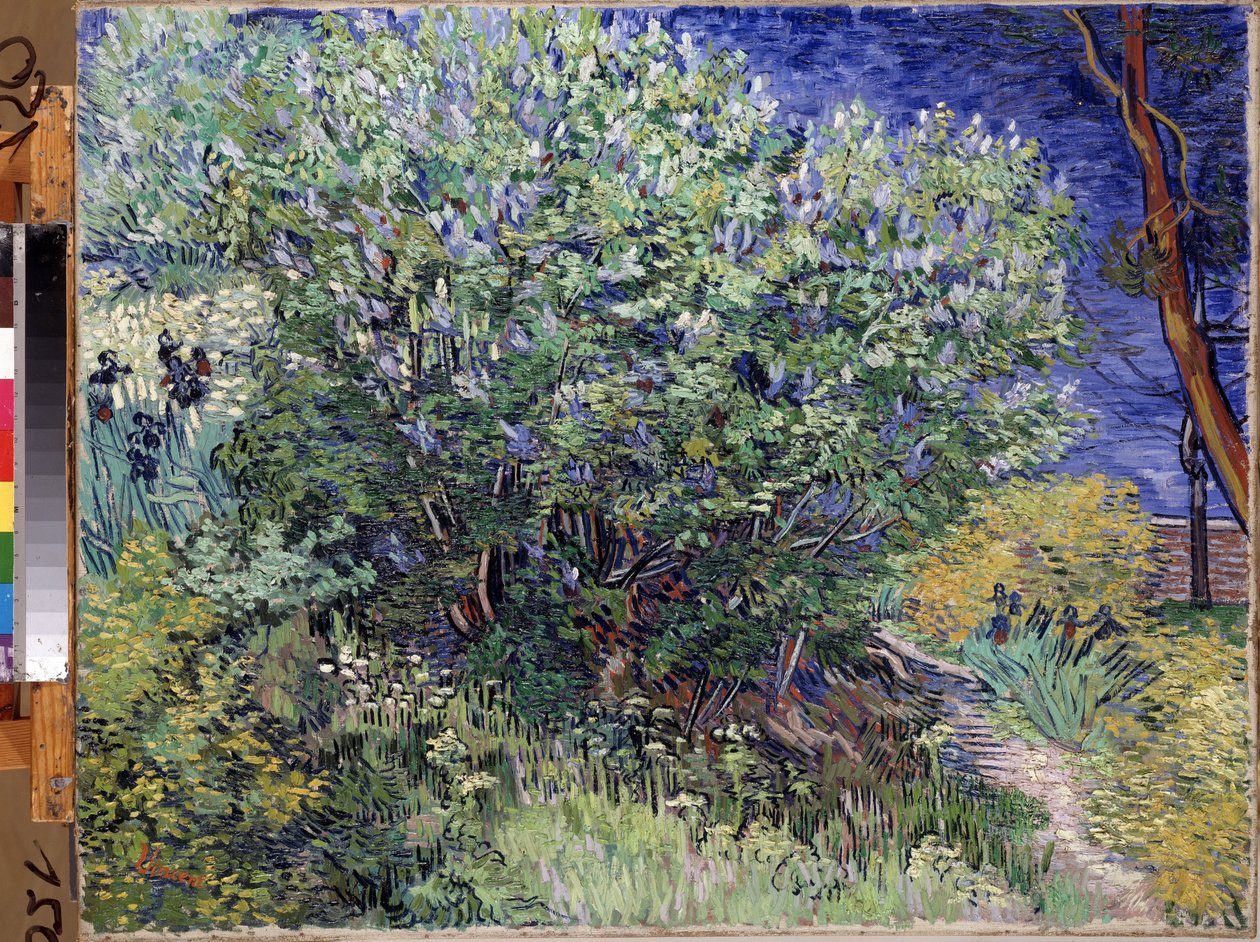 ""The Lilac Bush"" (Arbusto lila) Pintura de Vincent van Gogh (1853-1890) 1889 Dim. 72x92 cm Museo del Hermitage, San Petersburgo (San Petersburgo) de Vincent van Gogh