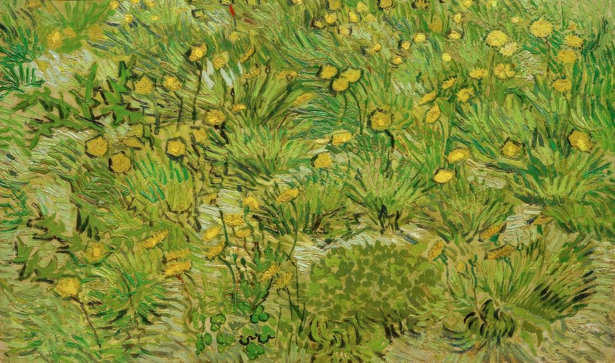 Los dientes de león de Vincent van Gogh