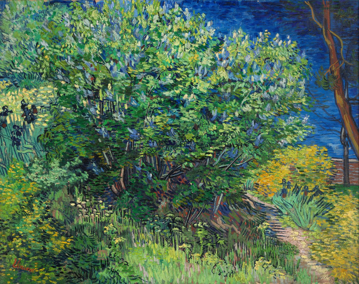 Lilas de Vincent van Gogh