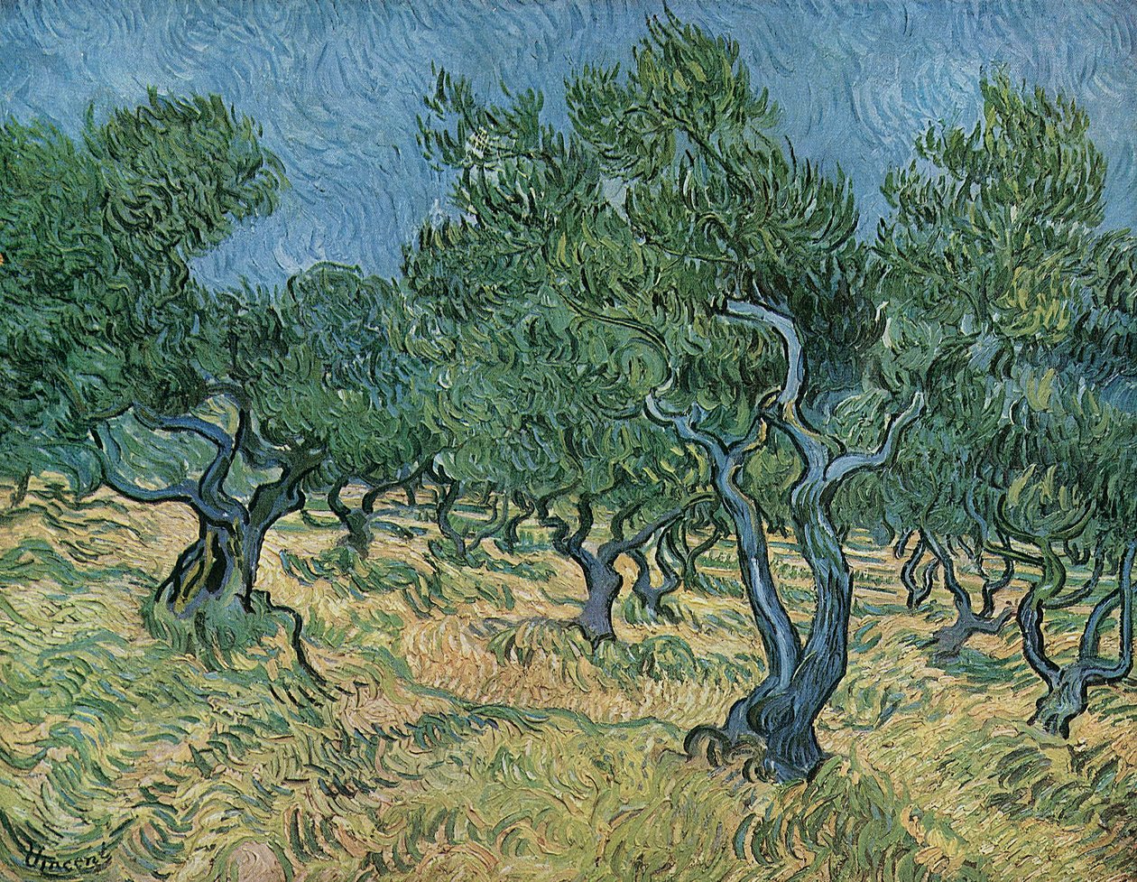 Olivar de Vincent van Gogh
