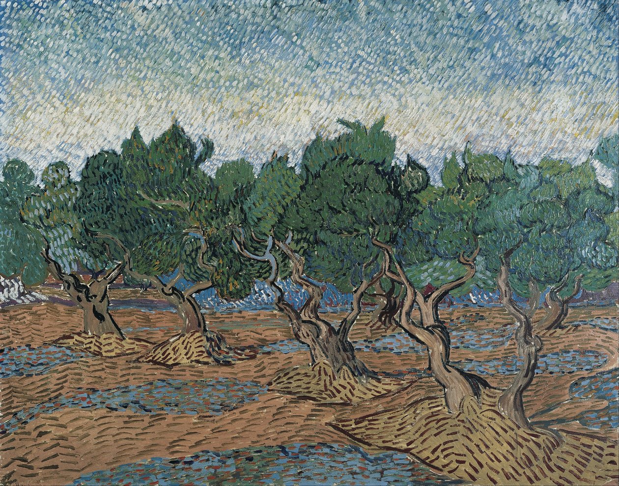 Olivar de Vincent van Gogh