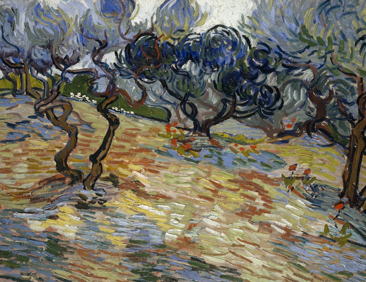 Olivos: Cielo azul brillante de Vincent van Gogh