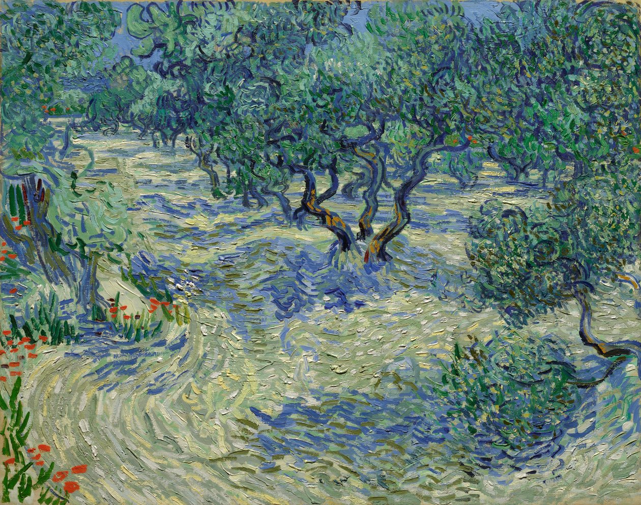 Olivos / Olivar de Vincent van Gogh