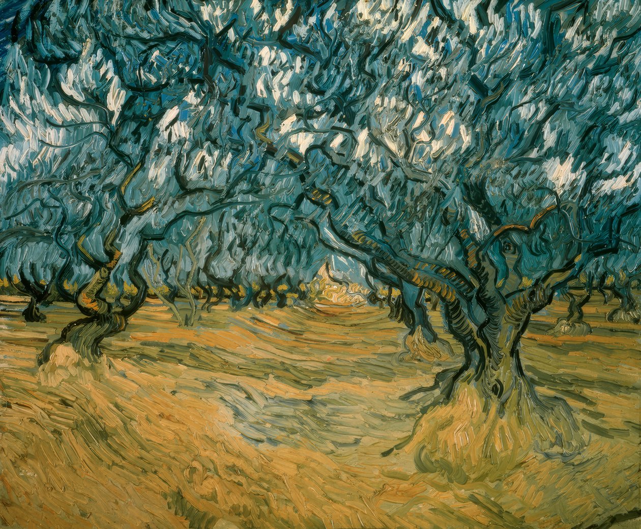 Olivos de Vincent van Gogh