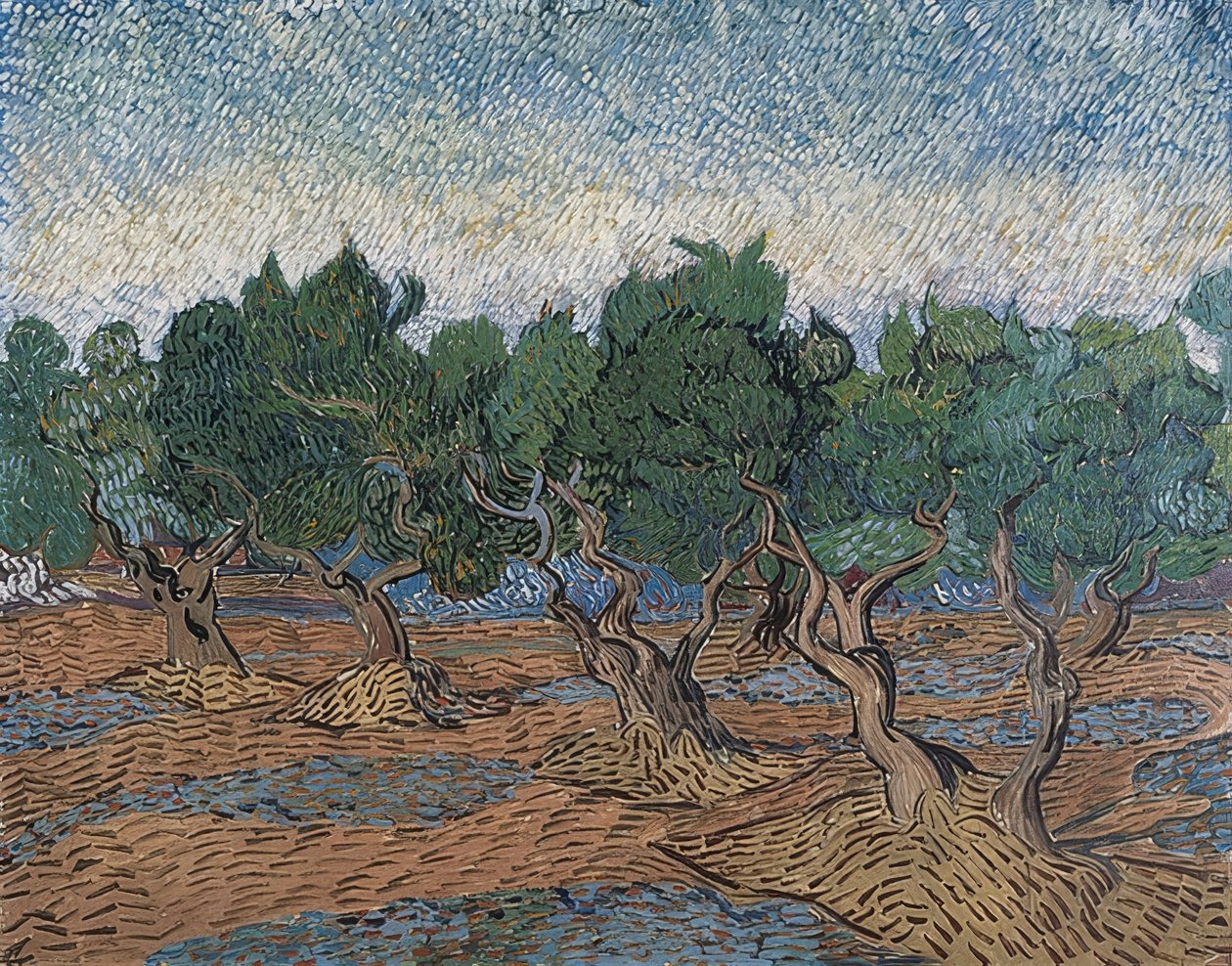 Olivar de Vincent van Gogh
