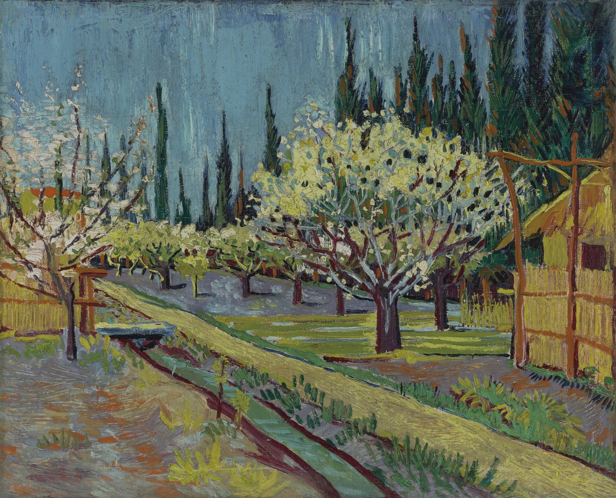 Huerto bordeado de cipreses de Vincent van Gogh
