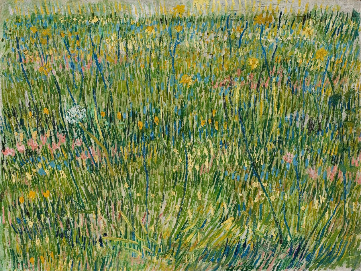 Mancha de hierba de Vincent van Gogh