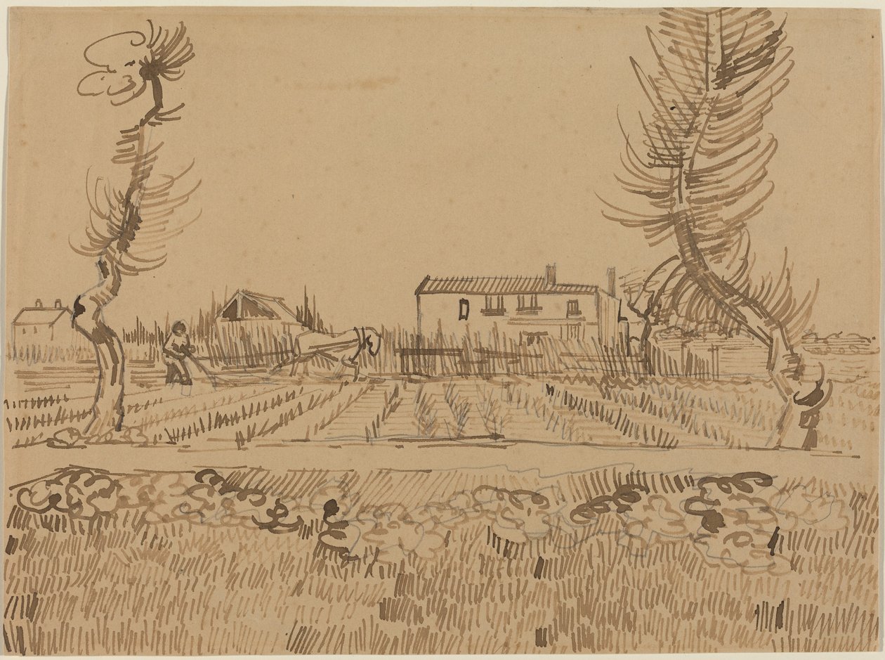 Un labrador en los campos cercanos a Arles de Vincent van Gogh