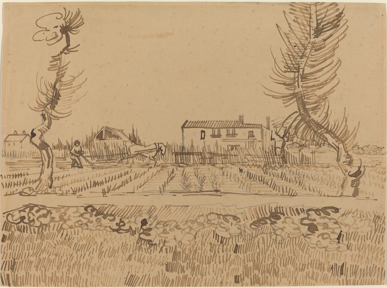 Campesino en los campos cerca de Arles, 1888 de Vincent van Gogh
