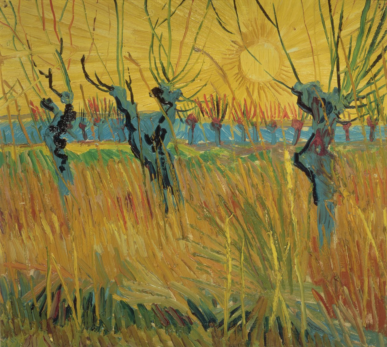 Sauces podados y puesta de sol de Vincent van Gogh