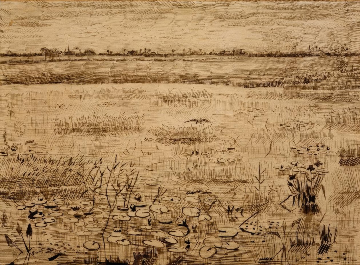 Paisaje pantanoso con lirios de agua de Vincent van Gogh