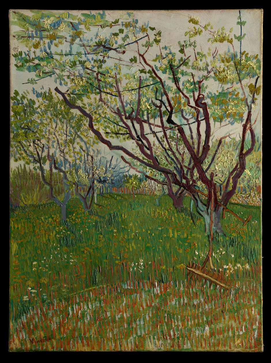 El huerto en flor de Vincent van Gogh