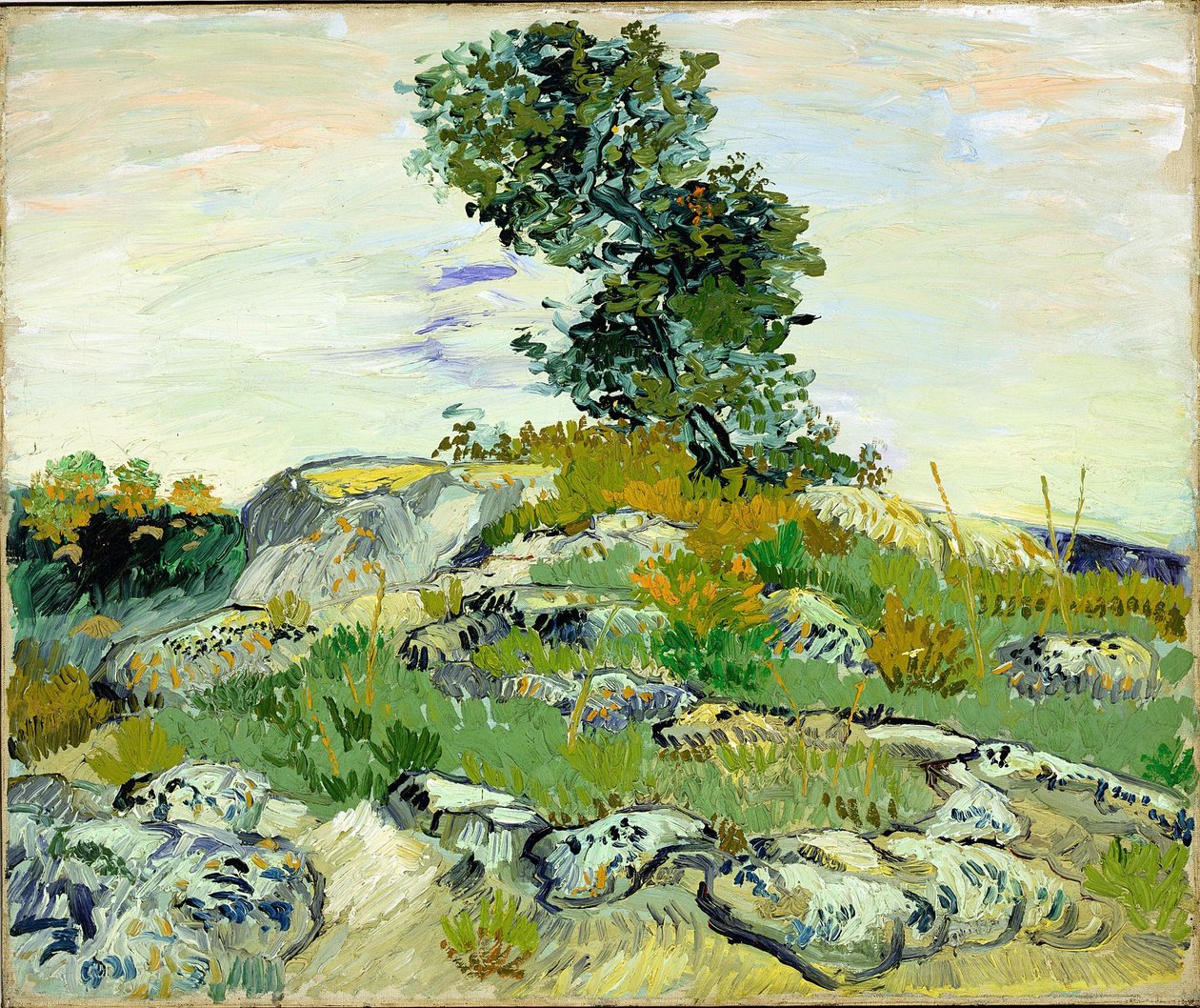 Las Rocas de Vincent van Gogh