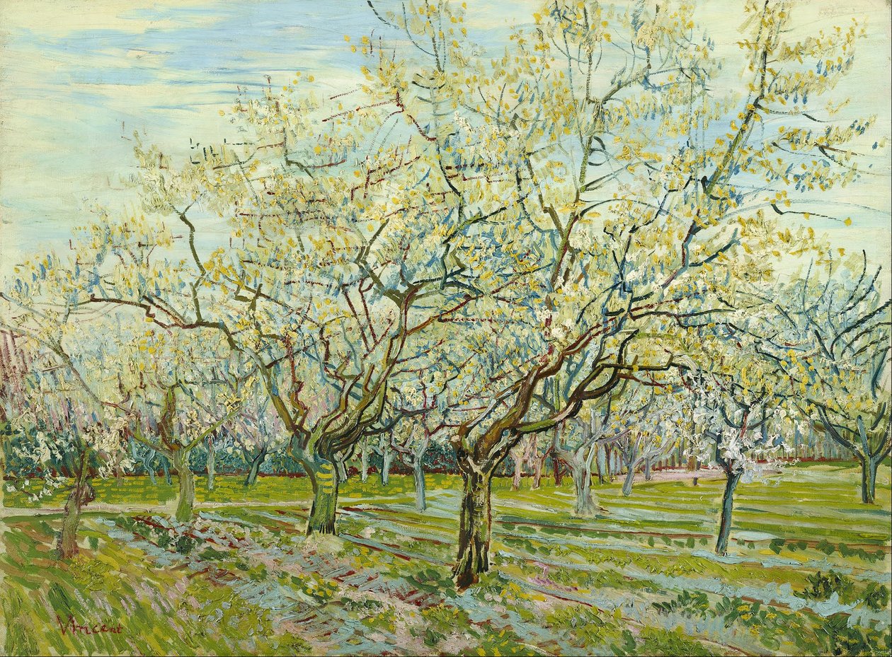 El huerto blanco de Vincent van Gogh