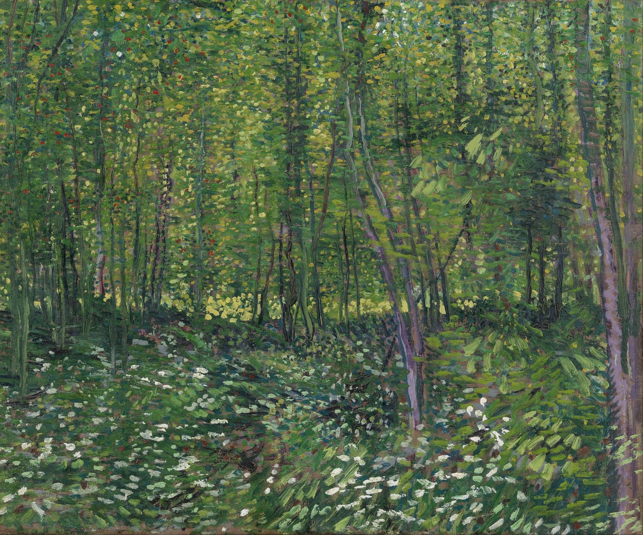 Árboles y matorral de Vincent van Gogh