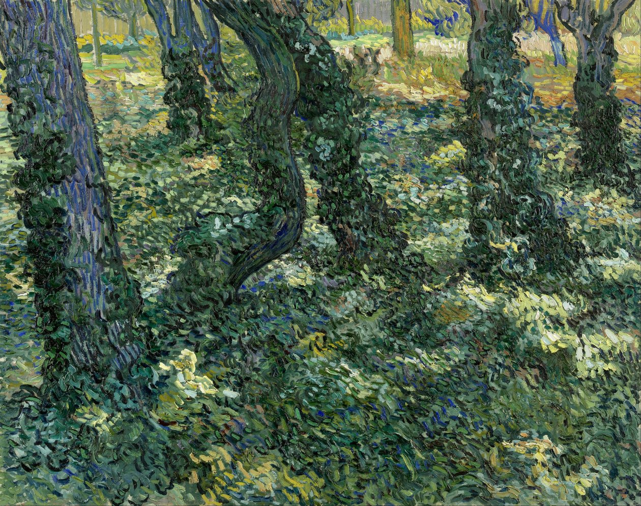 Matorral de Vincent van Gogh
