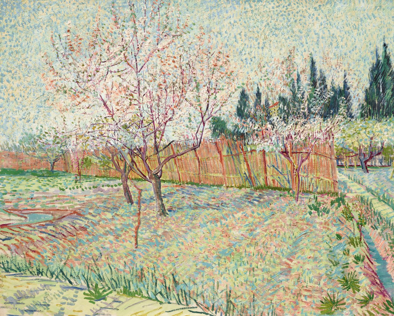 Huerto con cipreses de Vincent van Gogh