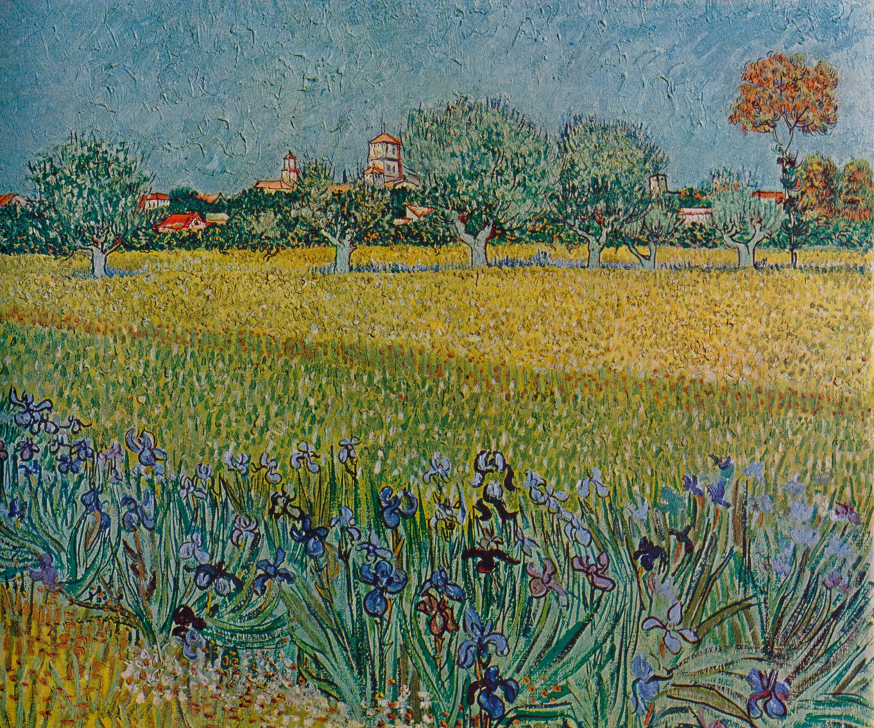 Vista de Ales con lirios en flor, 1888 de Vincent van Gogh