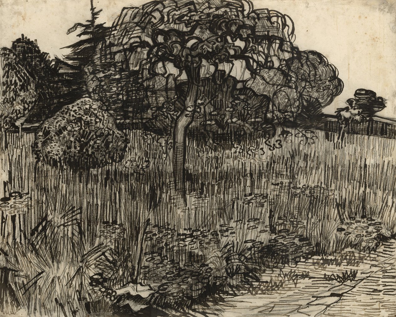 Árbol llorón, 1889 de Vincent van Gogh