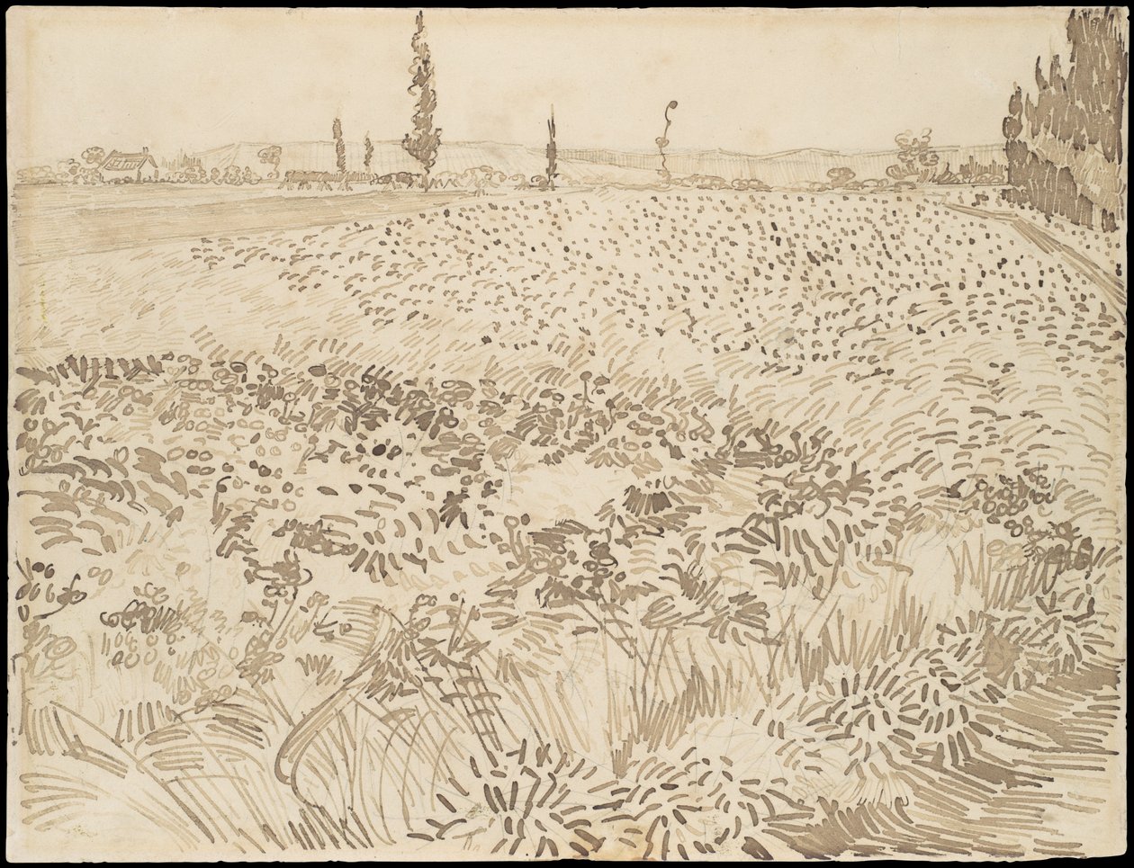 Campo de trigo de Vincent van Gogh
