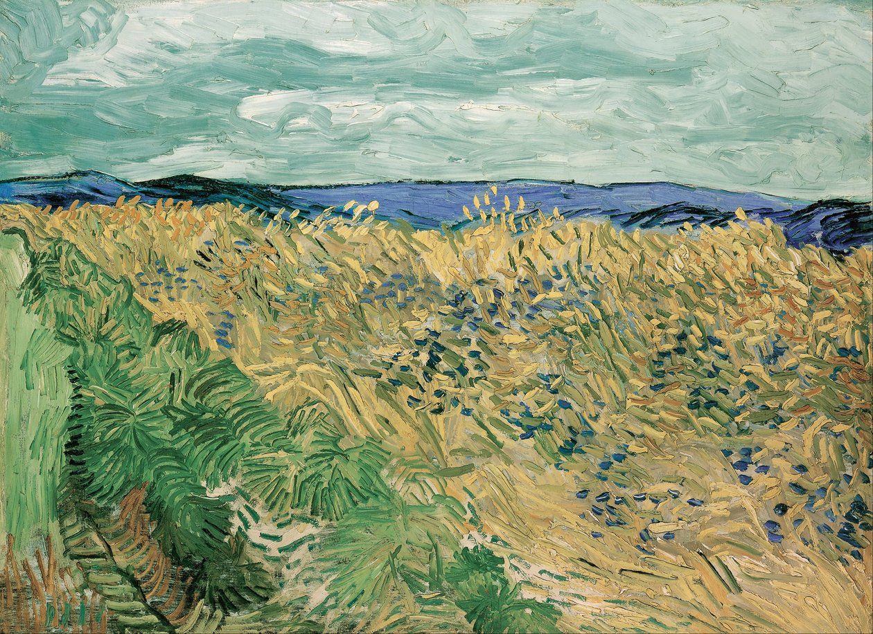 Campo de trigo con acianos de Vincent van Gogh