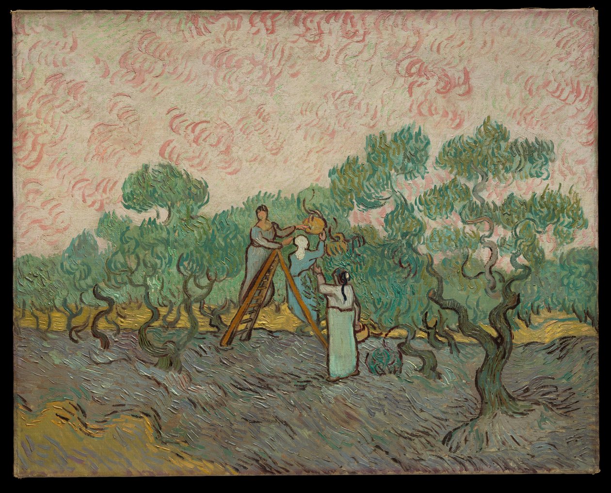 Mujeres recogiendo aceitunas de Vincent van Gogh