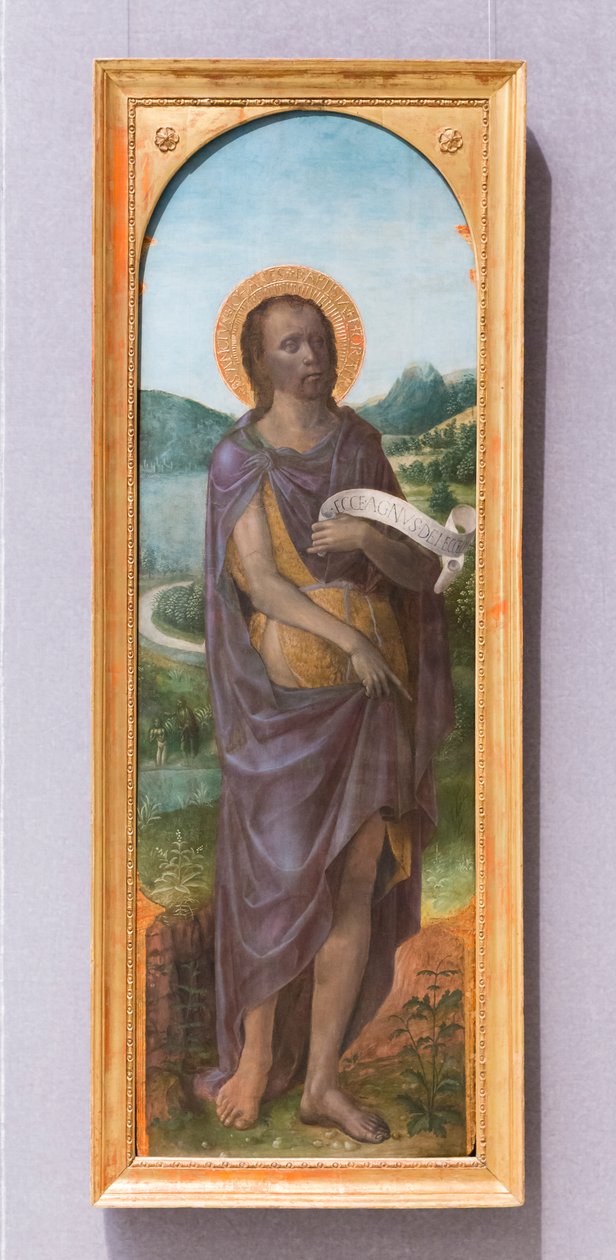 San Juan Bautista de Vincenzo Foppa