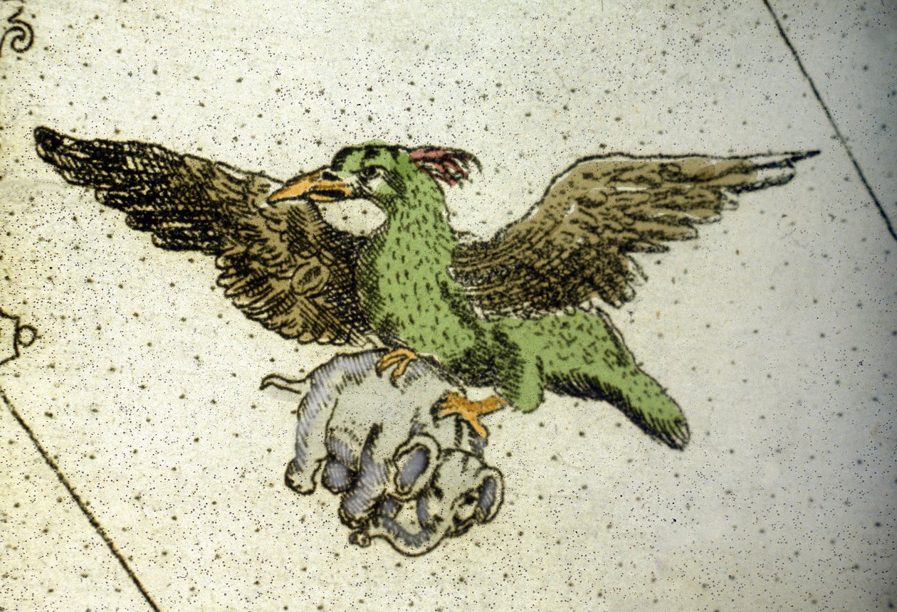 El pájaro gigante Rok llevando un elefante entre sus garras para dárselo a sus crías, detalle de un mapa mundial de Vincenzo Coronelli (1650-1718). Siglo XVII de Vincenzo Maria Coronelli