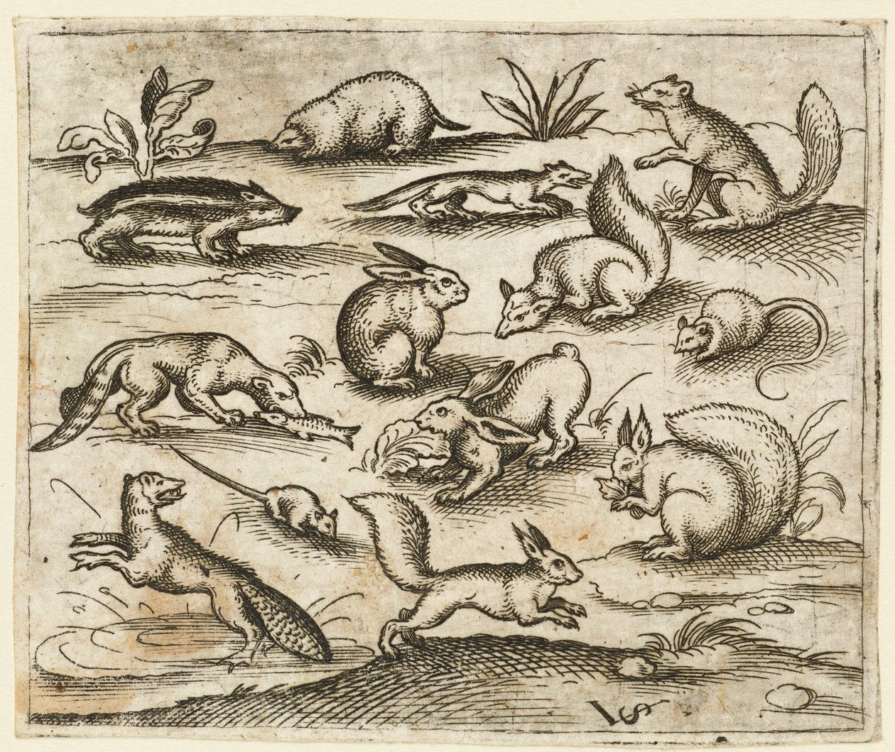 Grupo de pequeñas criaturas del bosque comiendo y corriendo alrededor de un estanque, incluyendo un ratón, 1557 de Virgil Solis