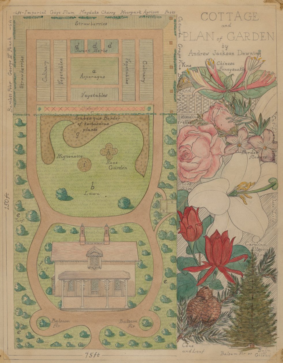 Plano de Planta para Cabaña, c. 1936 de Virginia Richards