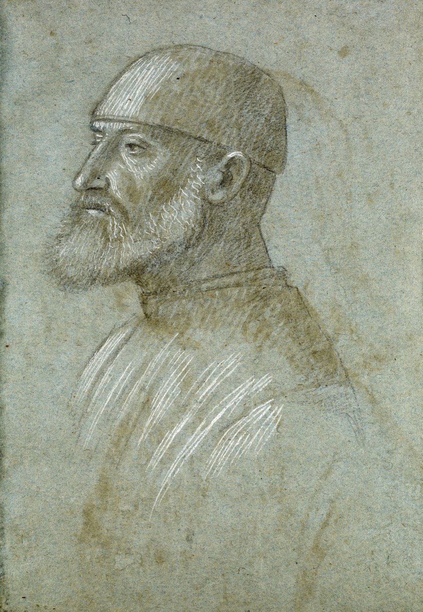 Cabeza de hombre barbudo con gorra, de perfil a la izquierda de Vittore Carpaccio