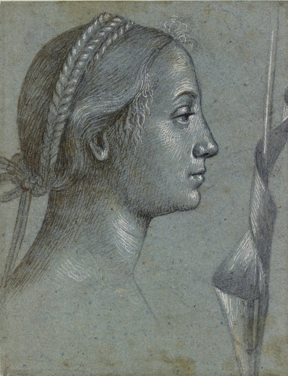 Cabeza de una mujer con una bandera enrollada en un poste de Vittore Carpaccio