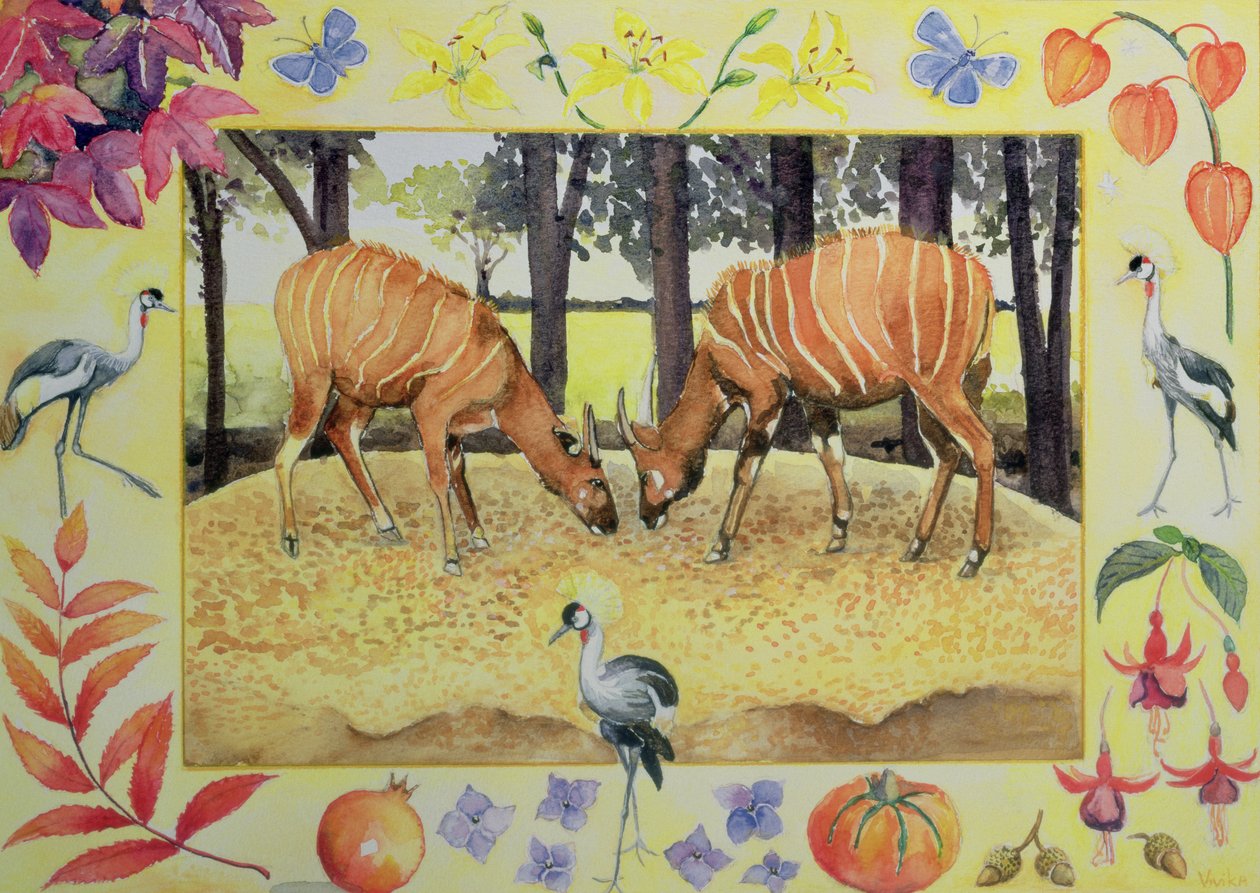 Bongo (mes de octubre de un calendario) de Vivika Alexander