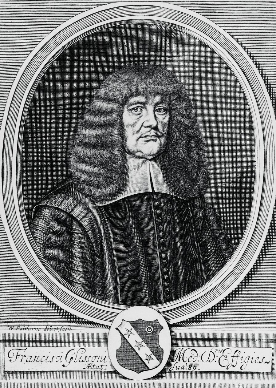 Retrato de Francis Glisson (1597-1677), físico, anatomista y médico británico de John Ward Dunsmore