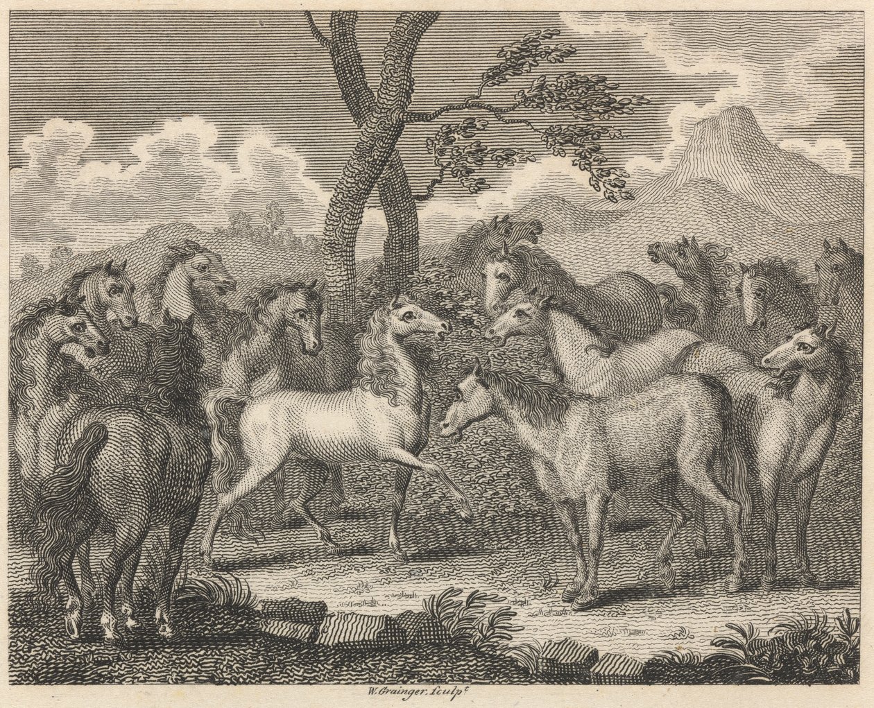 El Consejo de los Caballos de W. Grainger
