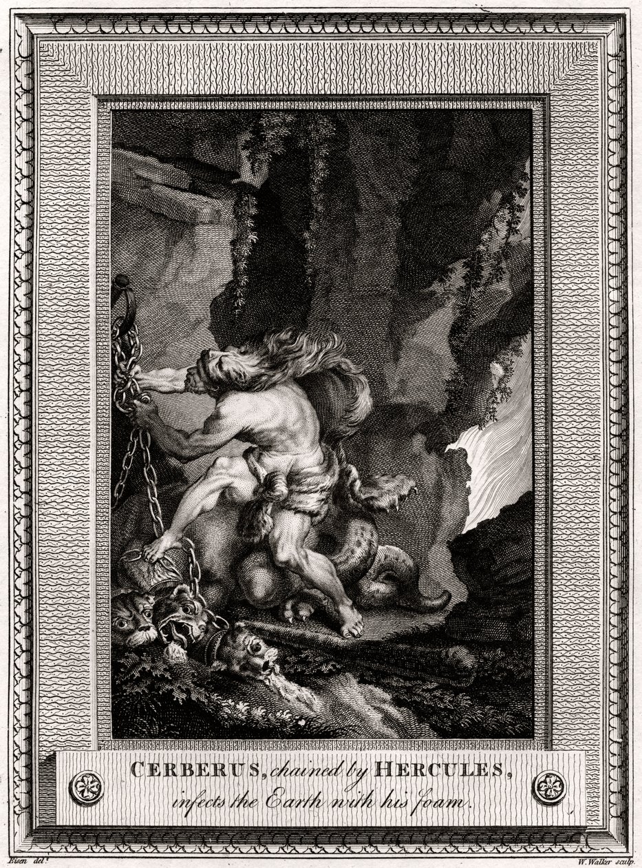 Cerbero, encadenado por Hércules, infecta la Tierra con su espuma, 1774 de W. Walker