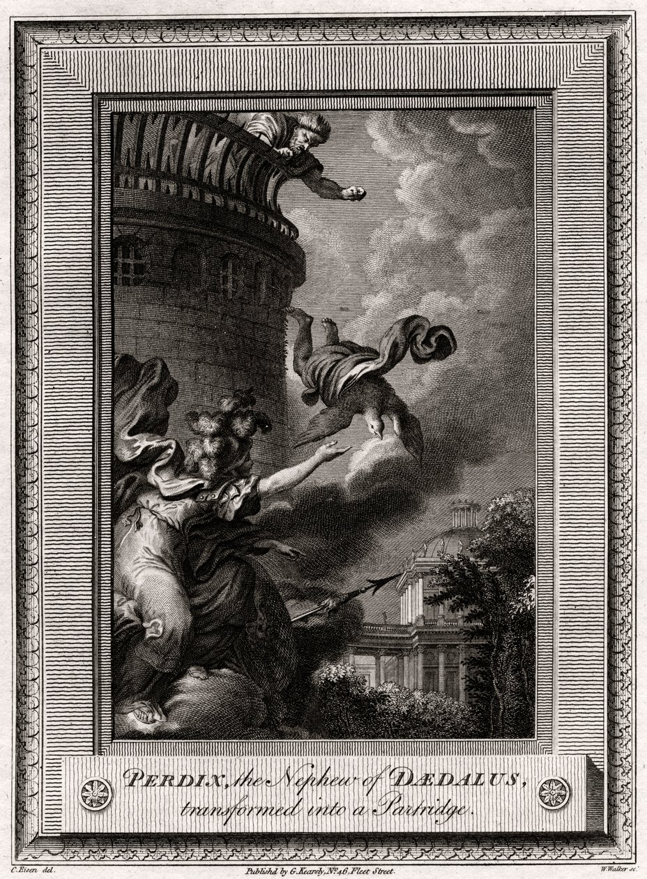 Pérdix, el sobrino de Dédalo, transformado en perdiz, 1774 de W. Walker